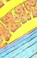Jan10_009 Thumbnail