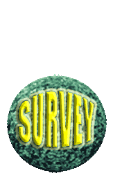 Survey