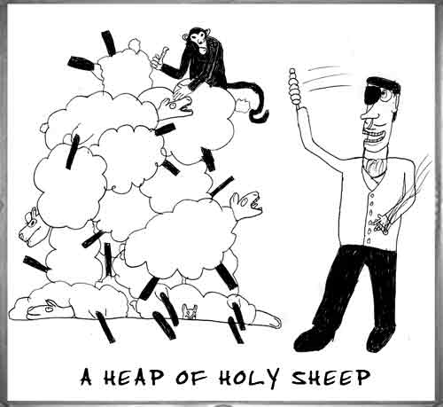 sheep