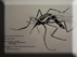 art work titled mosquitoes